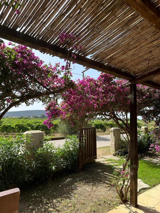 Villa Juniperus Porto Pino SantʼAnna Arresi Exterior foto